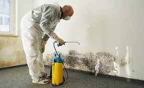 Mold Remediation for Rental Properties in Mount Healthy, OH